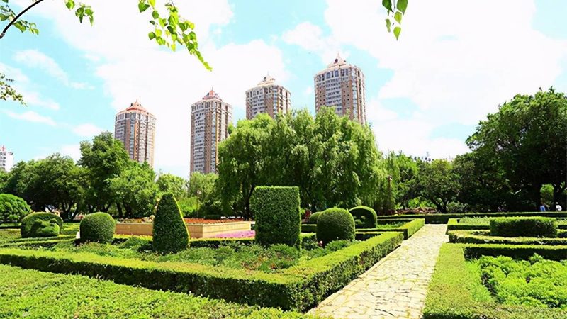 市政园林绿化招标文件报价清单：揭秘关键要素与评估技巧