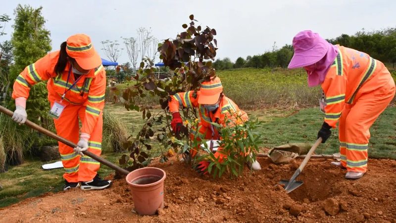 园林绿化养护管理设备：守护绿色家园的利器**