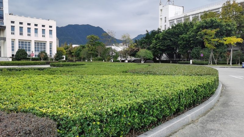 花园设计资质标准解析：了解行业门槛，打造高品质园林**