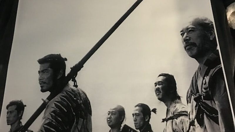 办公室盆栽租摆，价格背后的考量因素**