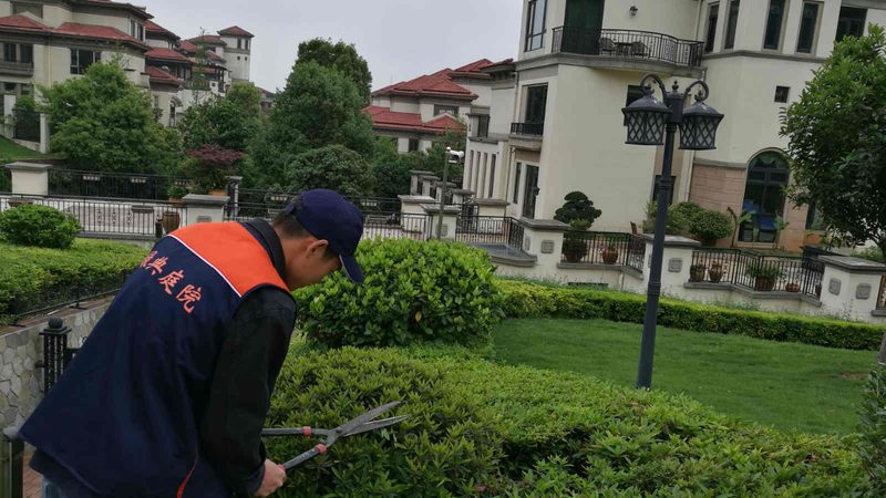 成都小区绿化设计方案：打造宜居生态社区的秘诀