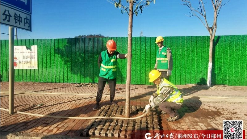 植物墙加盟代理：政策解析与市场洞察