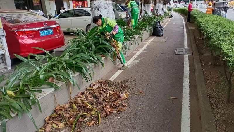 园林景观木材防腐处理：五大注意事项，确保木材寿命与美观