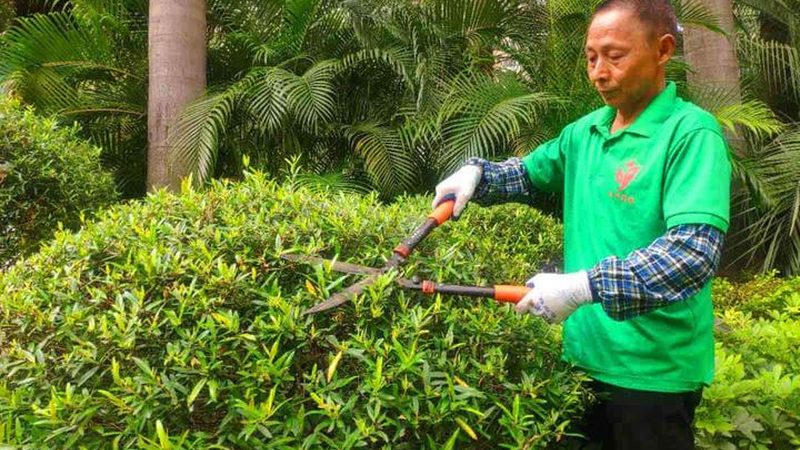 室内立体绿化墙加盟代理条件