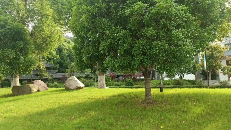 别墅院子排水设计：标准与关键要点**