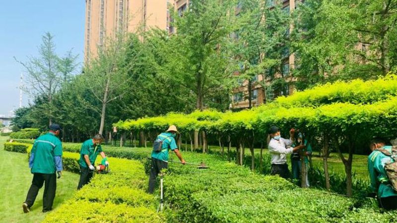 绿化资质承包范围要求详解：合规之路的关键点**